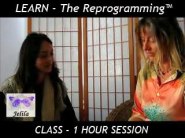 Learn The Reprogramming - 1 Hour Class (Order how many hours you want eg 6)  - www.jelila.com